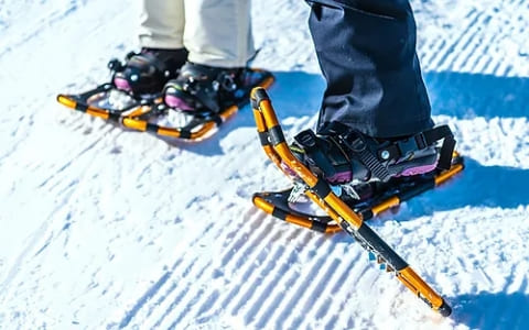未使用 スノーシュー Snowxu コラプシブル  折りたたみ スノーハイキング トレッキング アウトドア 楽天市場】【新古品】スノーシュー Snowxu コラプシブル